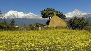 Australian Camp Dhampus Village Short Trek