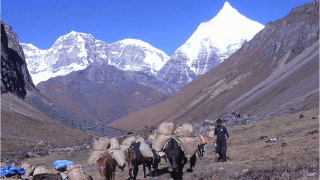 Bhutan Trekking Bhutan Tours Bhutan Hiking