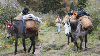 Bhutan Trekking Bhutan Hiking Bhutan Travel