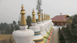 Sikkim Darjeeling Kalingpong Package tour