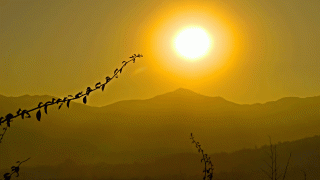 Yoga Meditation Retreat Tour Nepal