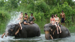 Chitwan Jungle Safari Wildlife Tour
